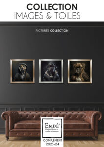 IMAGES-ET-TOILES-NOUVEAUTES-2023-24-FAB images et toiles EMDE